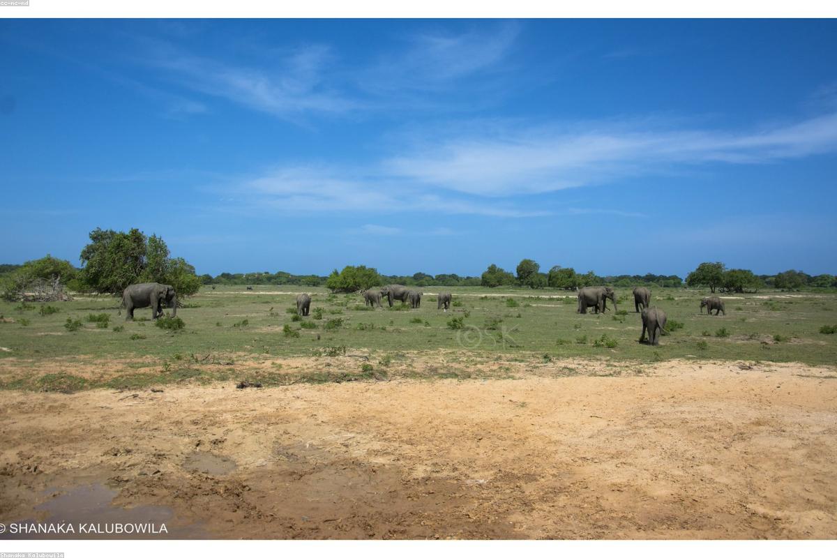 10 أسباب تجعل كنيسة مادو مدرجة في قائمة أمنياتك