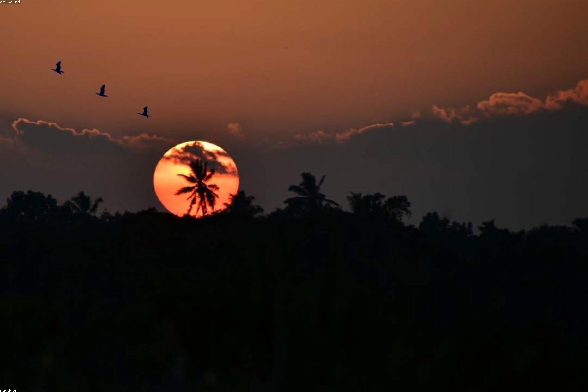 10 أسباب تجعل ميريساويتيا فيهارا مدرجة في قائمة أمنياتك