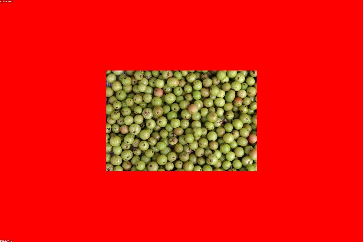 منظور المصور: التقاط جمال بحيرة بيرا