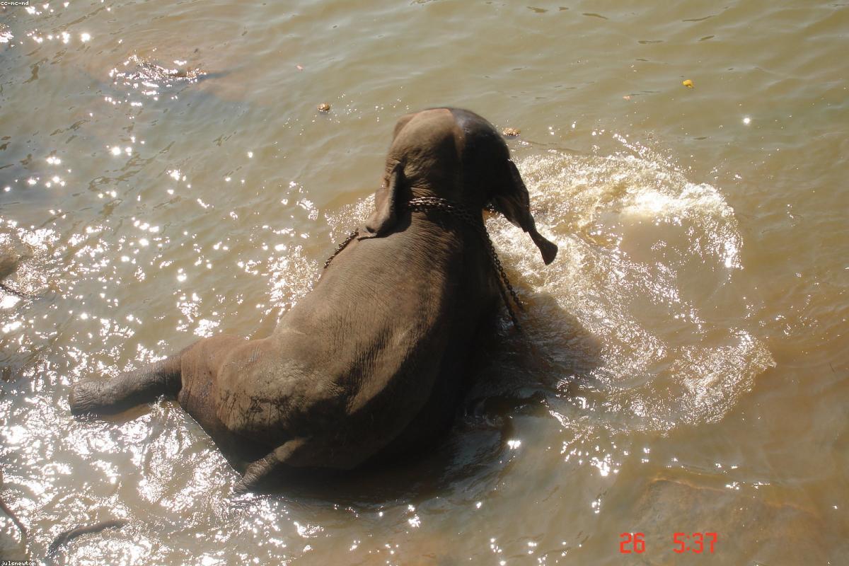 منظور المصور: التقاط جمال ديدورو أويا