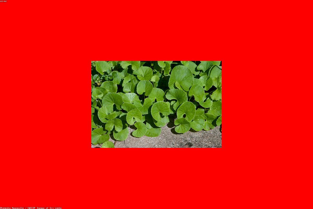 منظور مصور فوتوغرافي: التقاط جمال نهر مادوجانجا