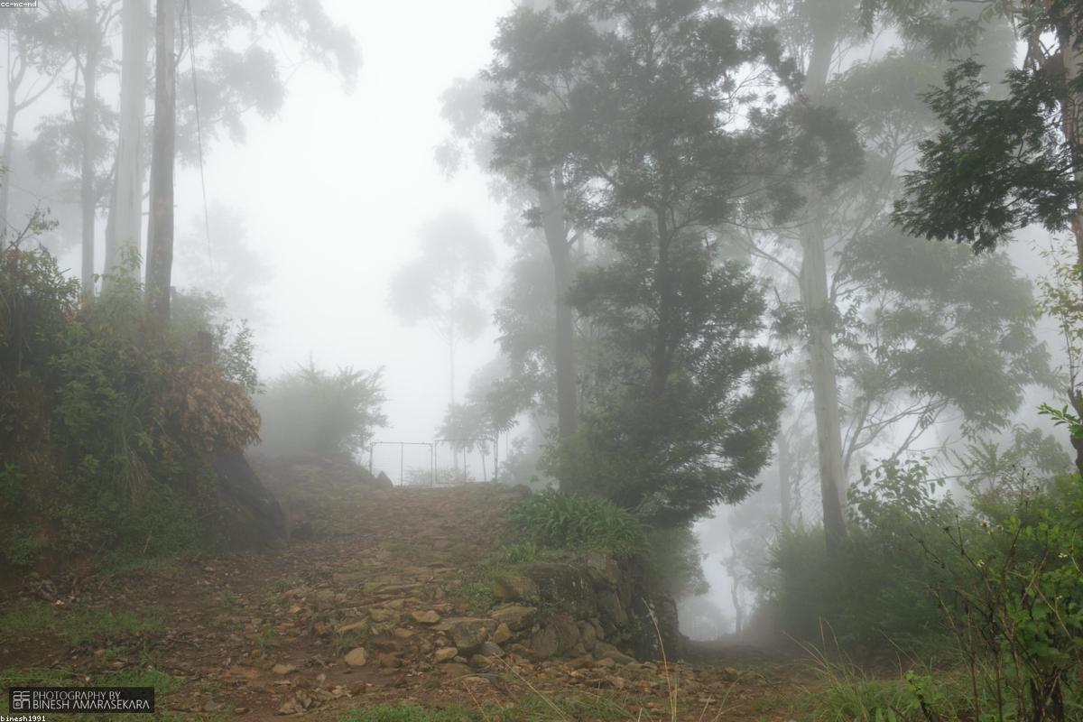 استكشاف الجواهر الخفية في Muthiyangana Raja Maha Vihara