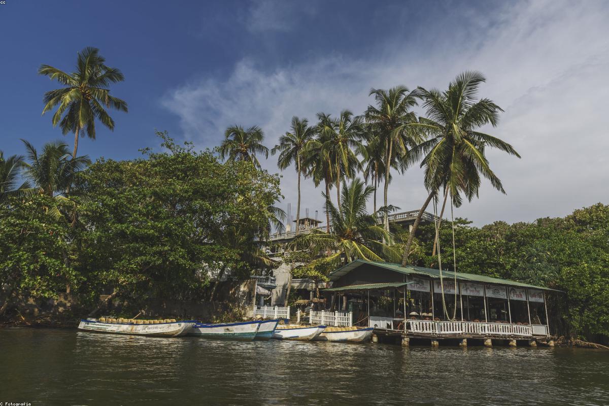 استكشاف الجواهر الخفية في Pidurutalagala