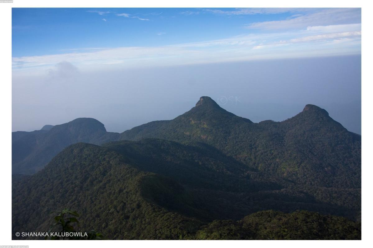 كيف تقضي عطلة نهاية أسبوع مثالية في Ape Gama