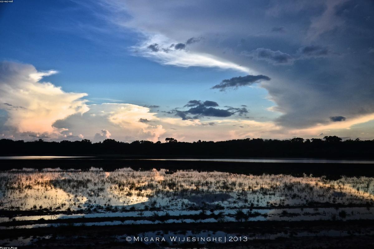 How to spend a perfect weekend in Bolgoda Lake