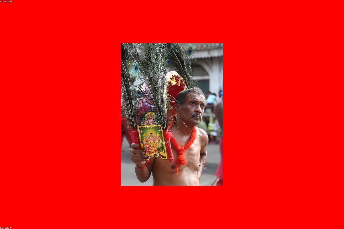 كيف تقضي عطلة نهاية أسبوع مثالية في Nine Arch Bridge