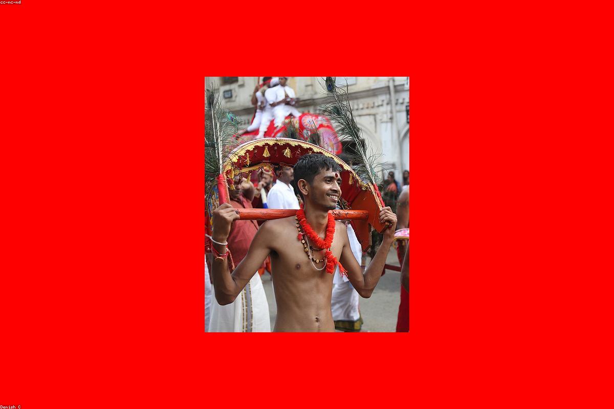 تم الكشف عن أفضل أسرار ترينكومالي المحفوظة