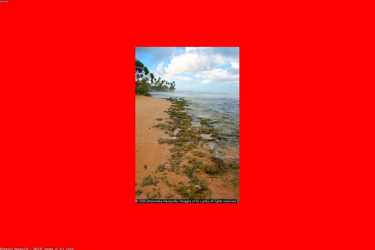 تم الكشف عن أفضل الأسرار المحفوظة في حديقة Udawalawe الوطنية