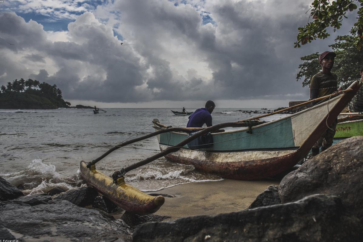 الدليل النهائي للشواطئ في شاطئ ريكاوا