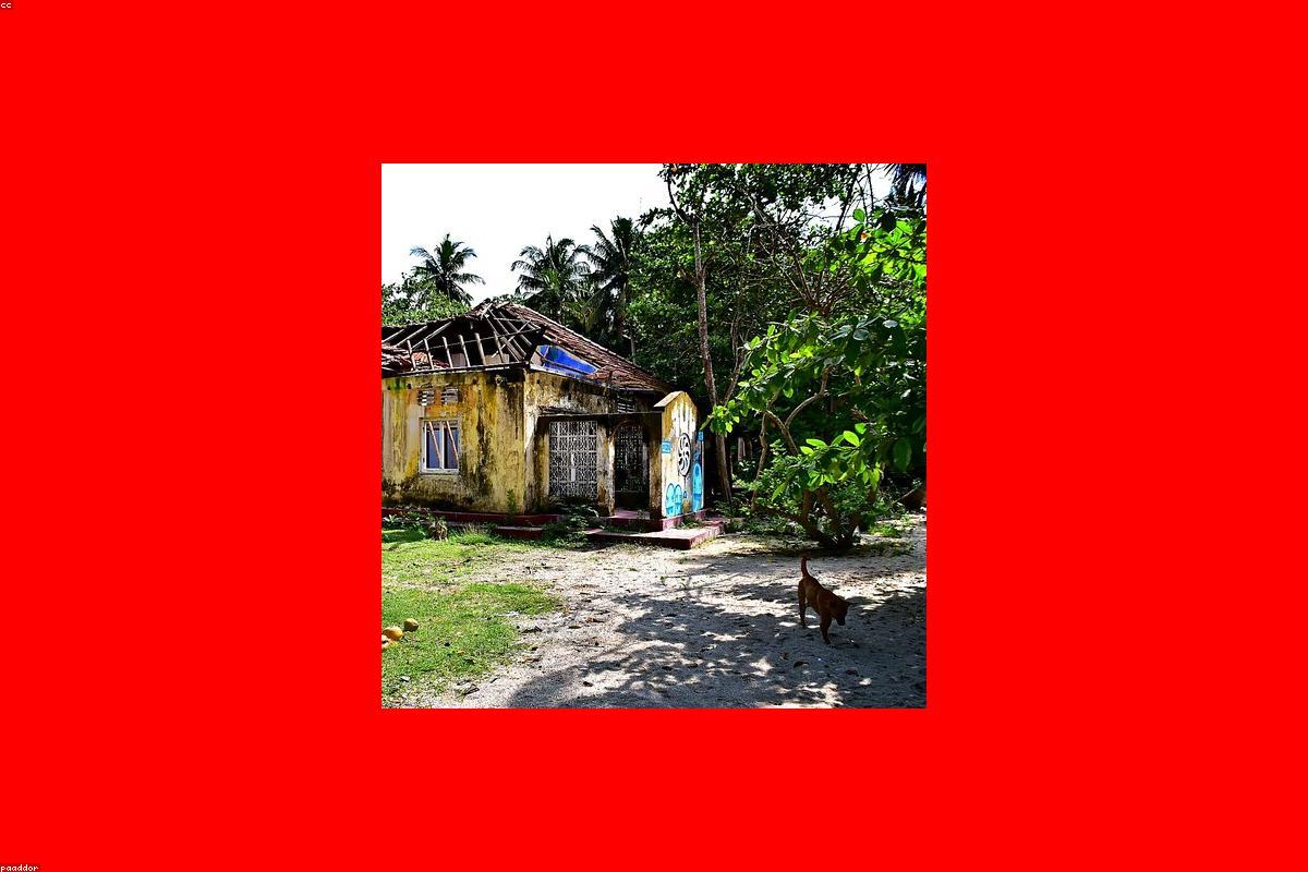 الدليل النهائي للميزانية في معبد Nallur Kandaswamy