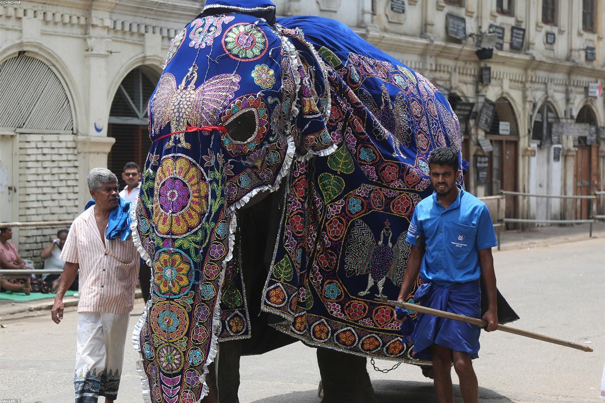 الدليل النهائي للرفاهية في قلعة بالانا