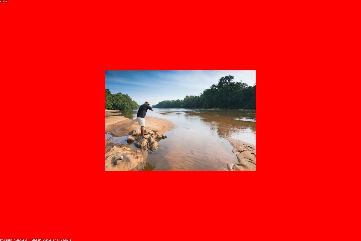 The ultimate guide to Wildlife in Tissa Wewa