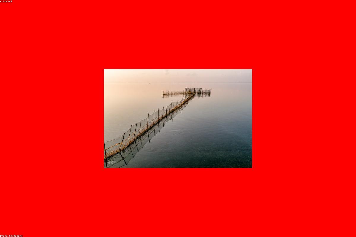 أفضل 10 أشياء يمكنك القيام بها في Yoda Wewa هذا العام