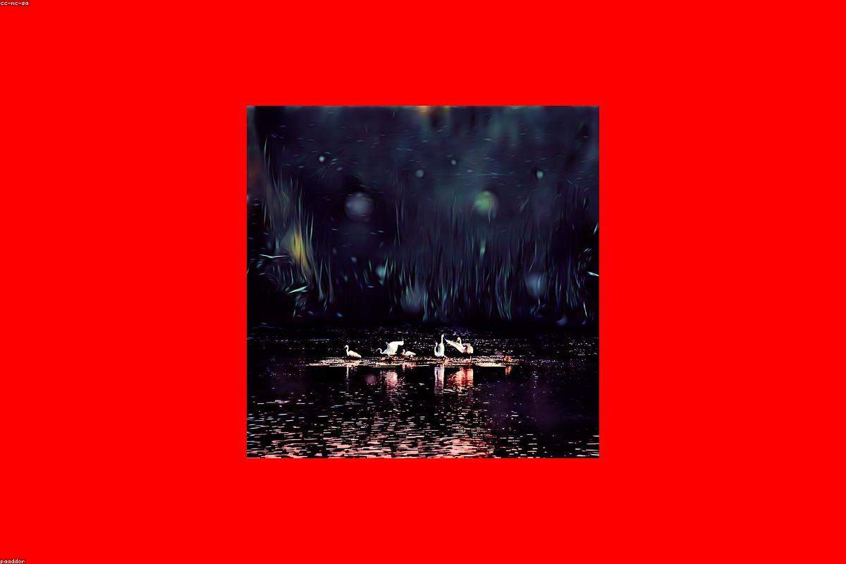 أفضل 4 أنشطة يمكنك القيام بها في شاطئ كاباراتوتا هذا العام