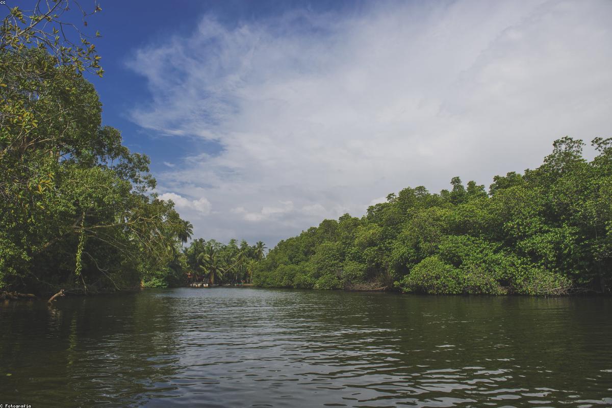 أفضل 9 أشياء يمكنك القيام بها في ينابيع مها أويا الحارة هذا العام