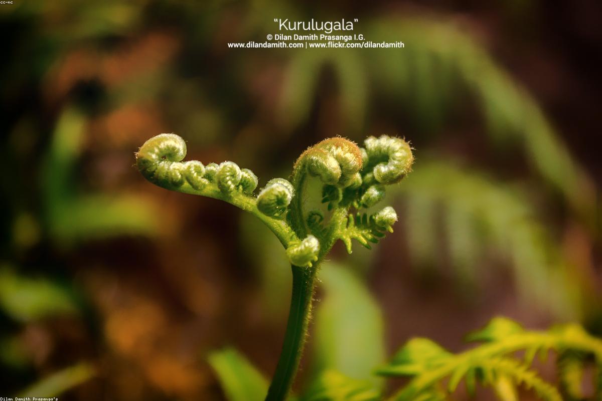 ذكريات لا تُنسى: رحلتي عبر شاطئ أهانجاما