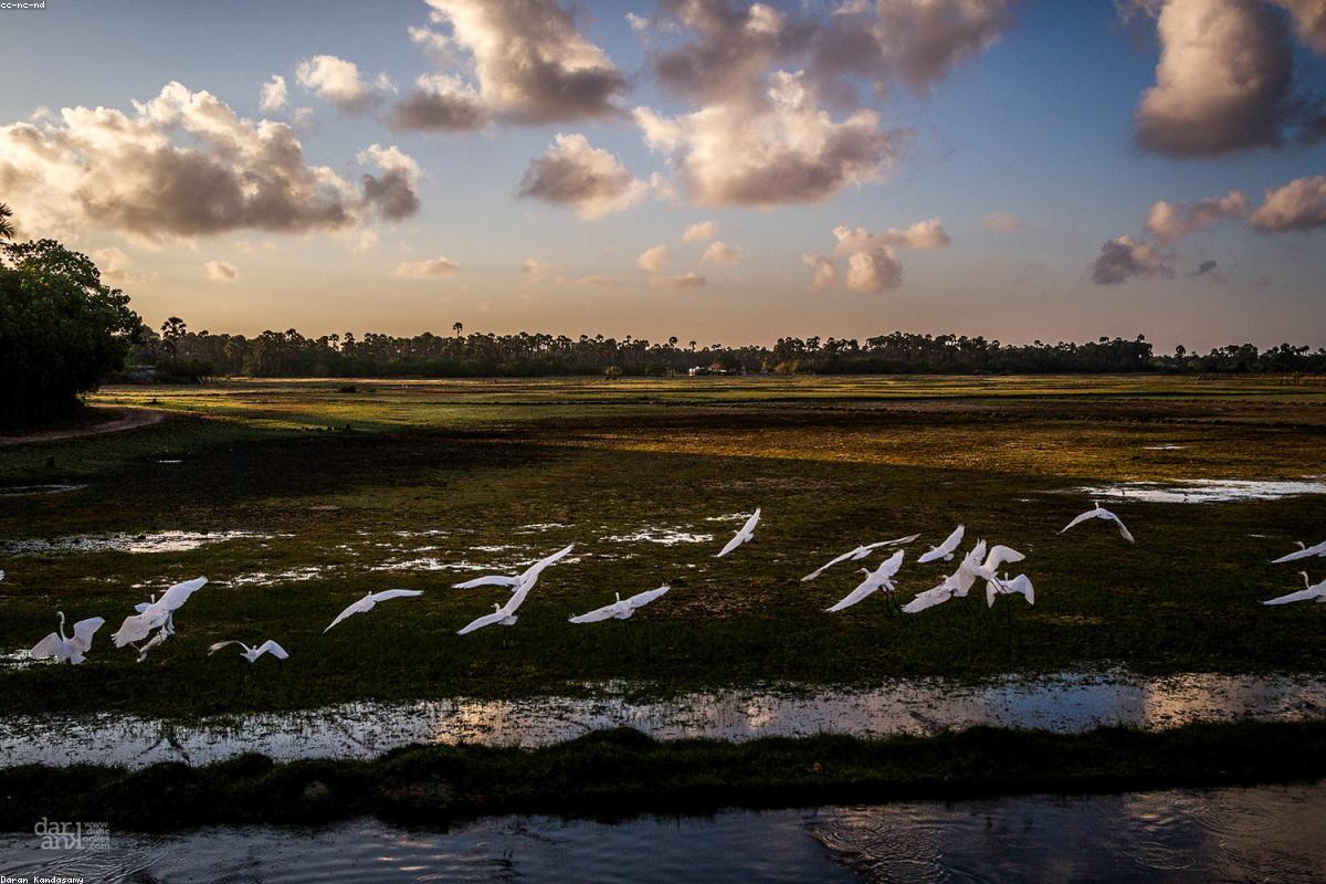 ذكريات لا تُنسى: رحلتي عبر شاطئ تالا