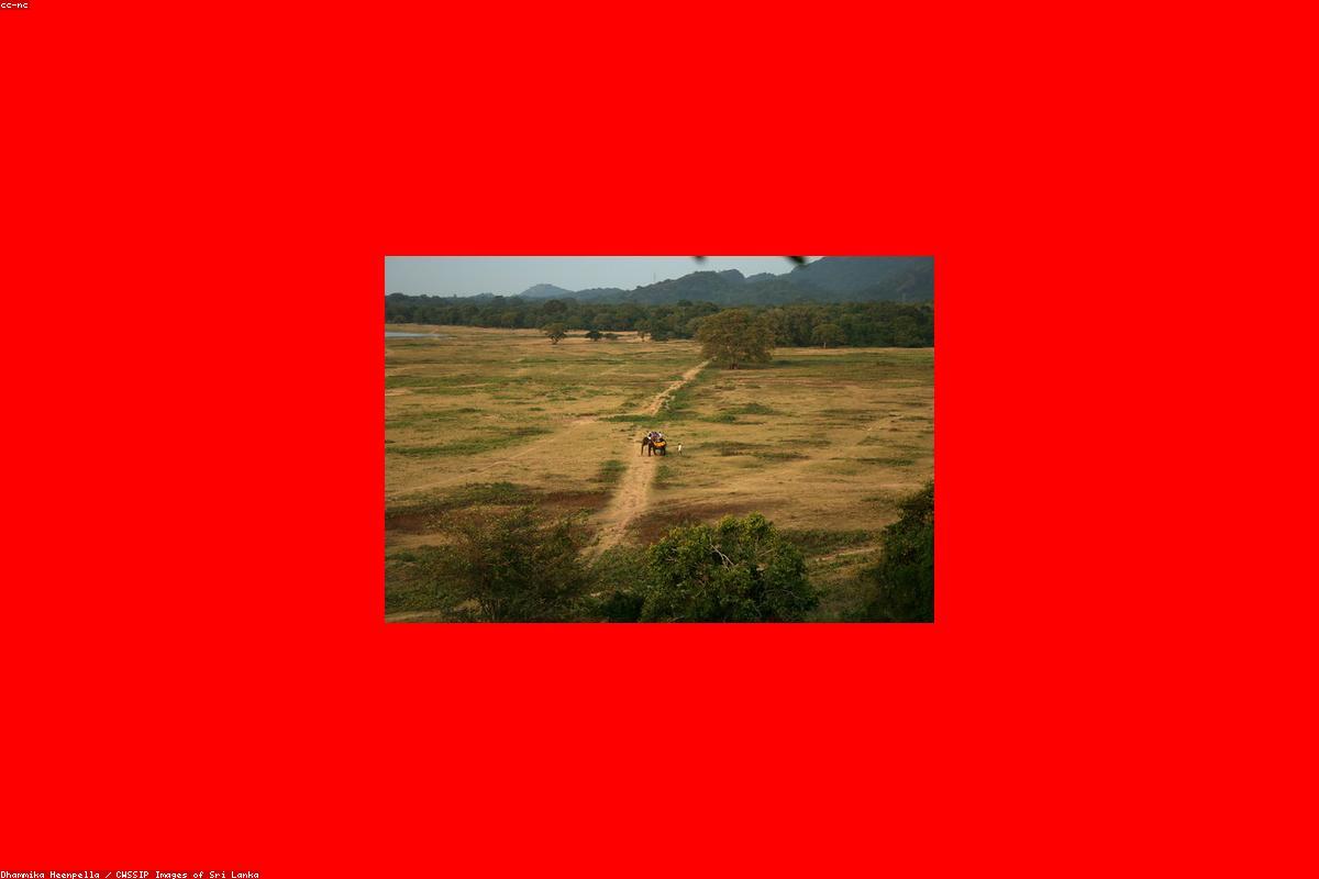 أين تجد أفضل مغامرة في تالاواكيلي