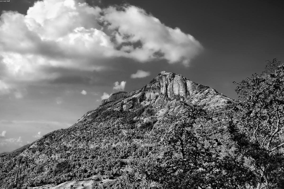 أين تجد أفضل الميزانية في بينتوتا