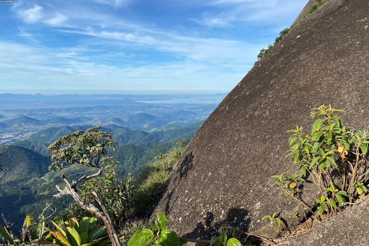 أين تجد أفضل ميزانية في مسجد جامع الفار