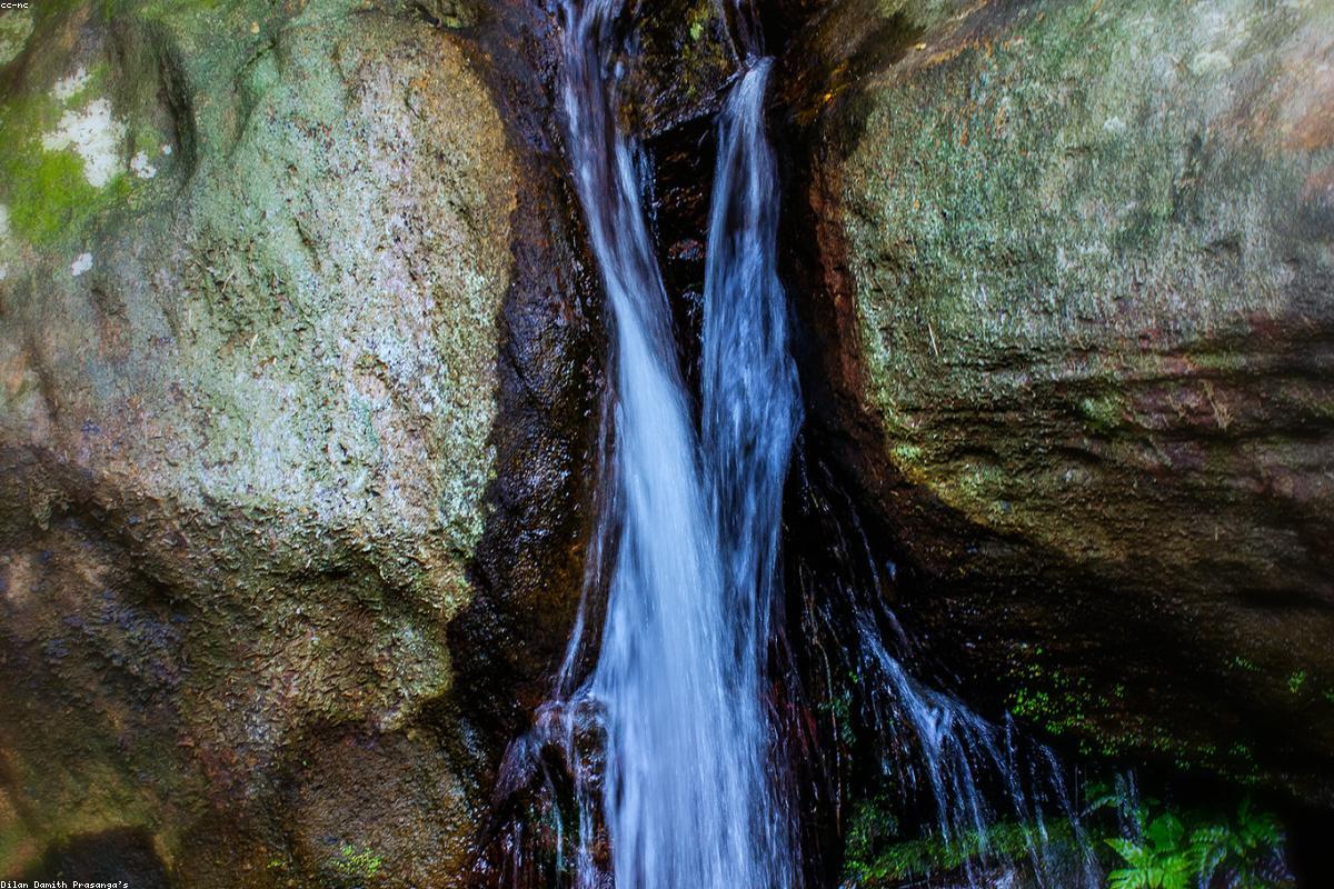 أين تجد أفضل الحياة البرية في ريدي فيهارايا