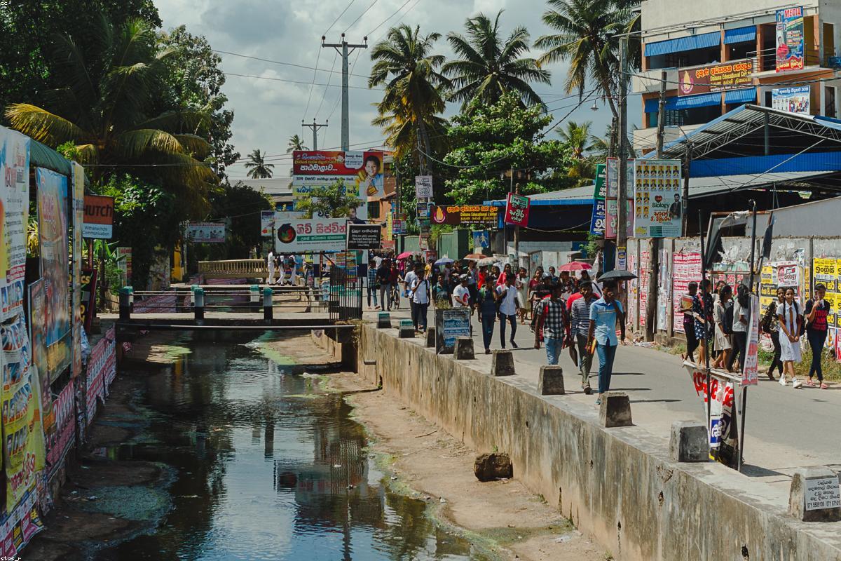 لماذا يعتبر برج داوسون ملاذًا فاخرًا مثاليًا