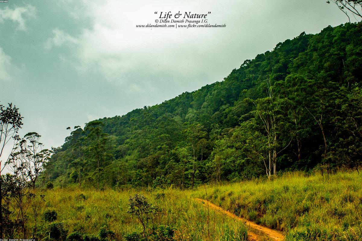 لماذا تعد منطقة التسوق بالمستشفى الهولندي ملاذًا مثاليًا للتصوير الفوتوغرافي