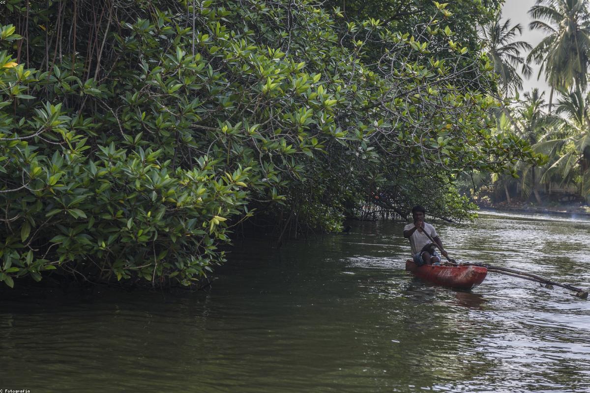 لماذا تعتبر منطقة موثوراجاويلا مارش الوجهة المثالية للشواطئ