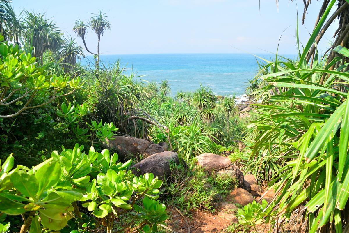 لماذا تعتبر Ruwanwelisaya ملاذًا مثاليًا للميزانية؟