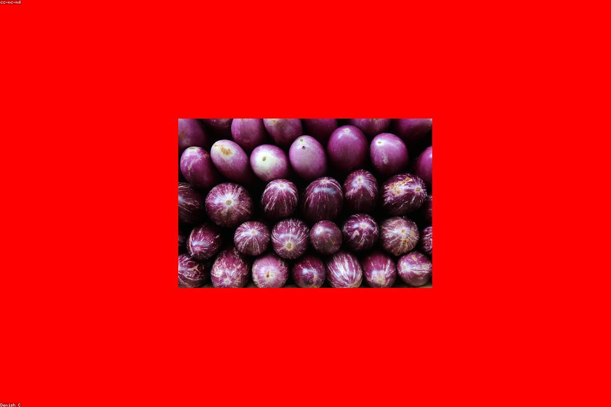 لماذا يعد شاطئ Talalla ملاذًا مثاليًا لتناول الطعام