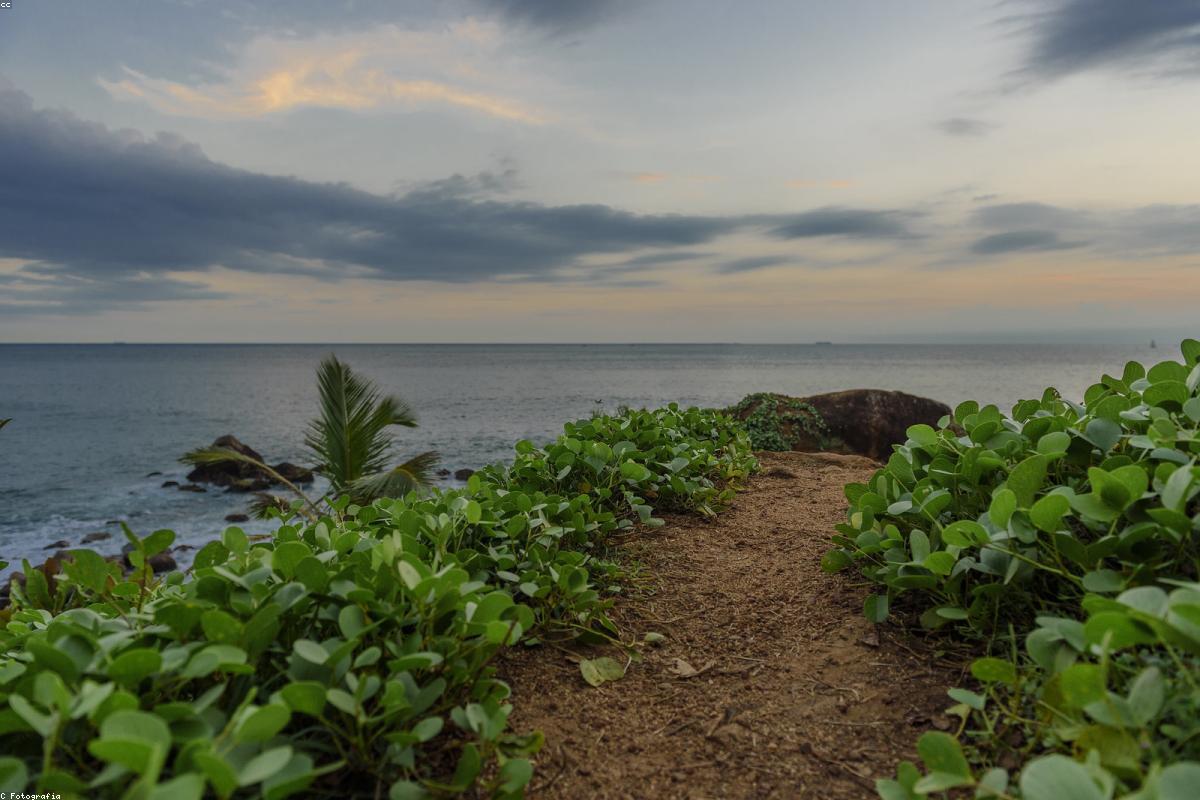 لماذا تعتبر حديقة Udawalawe الوطنية ملاذًا مثاليًا للشواطئ