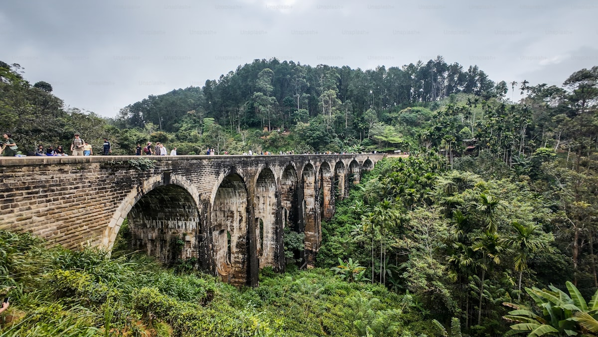 Ella Peaks & Nine Arch Adventure